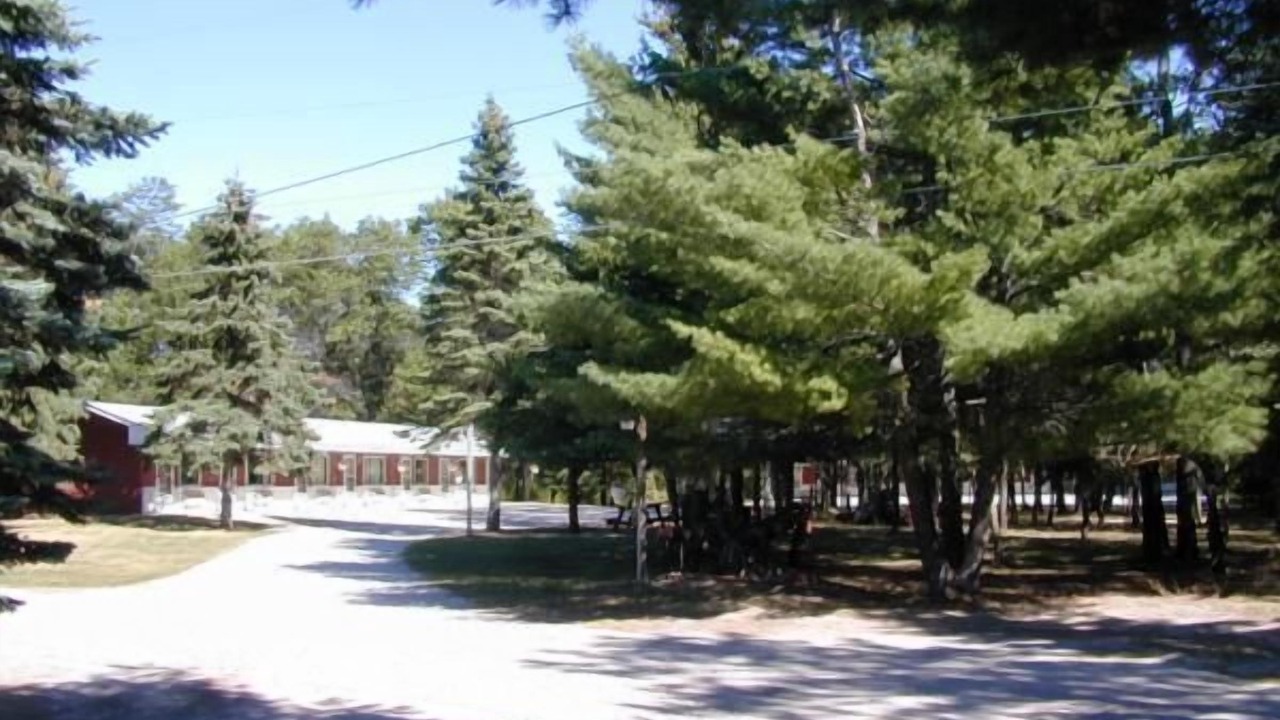 Photo of Outdoor in Grayling