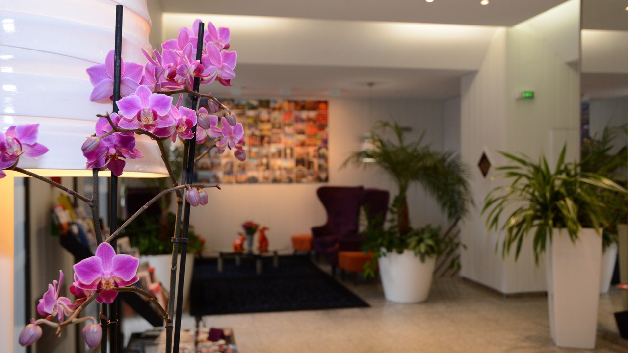 Photo of Others in Zola - Pressense