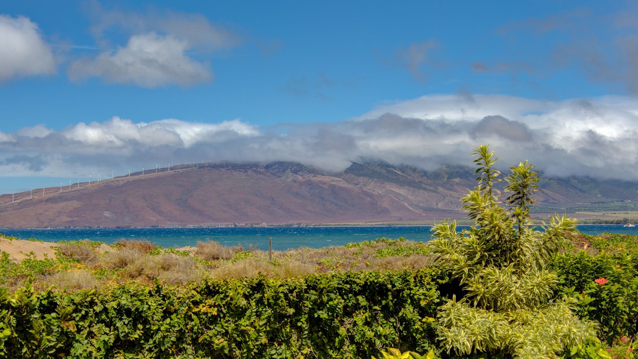 Photo of Others in Kihei