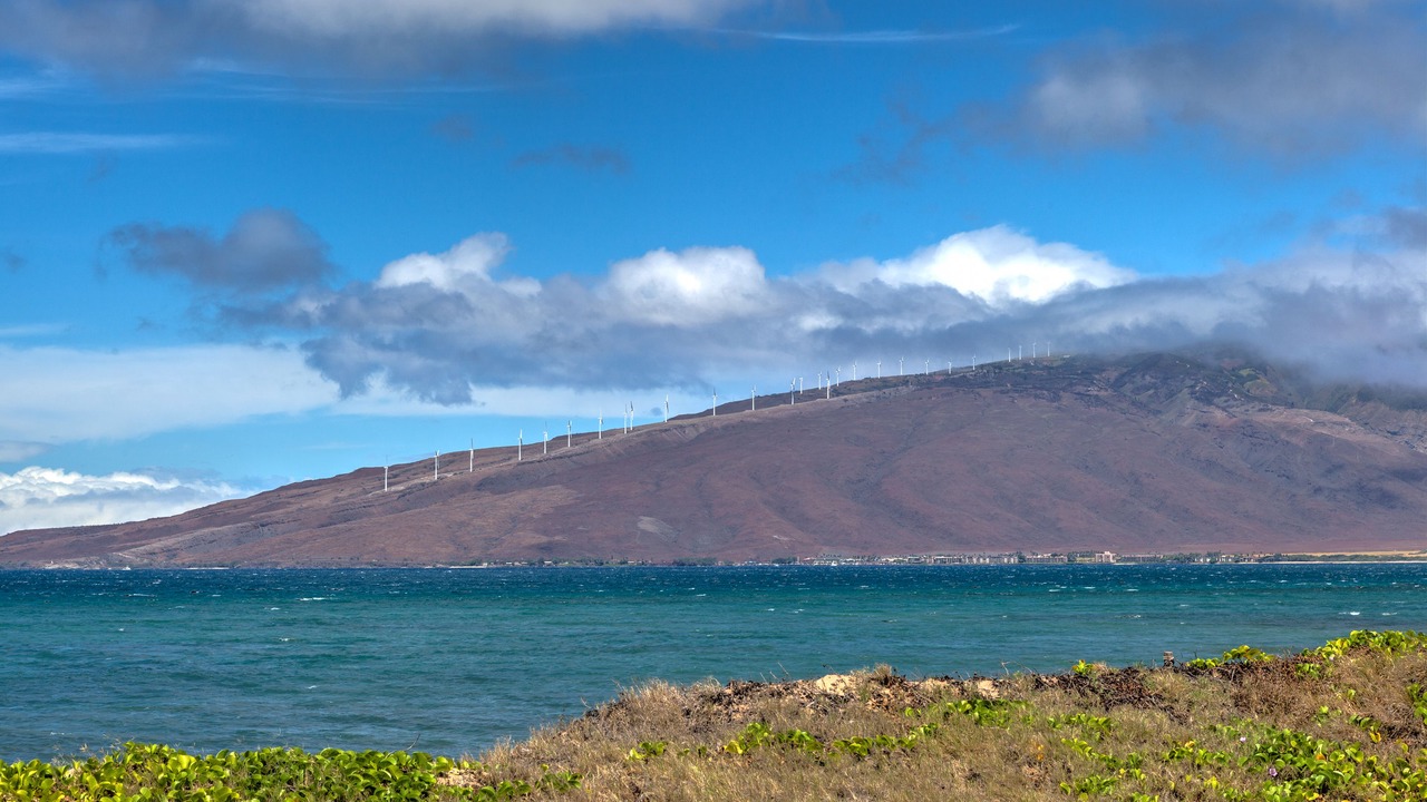 Photo of Outdoor in Kihei