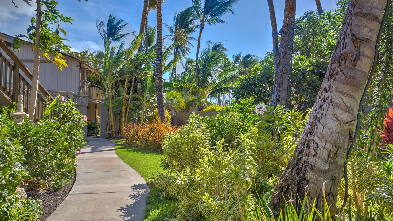 Photo of Outdoor in Kihei