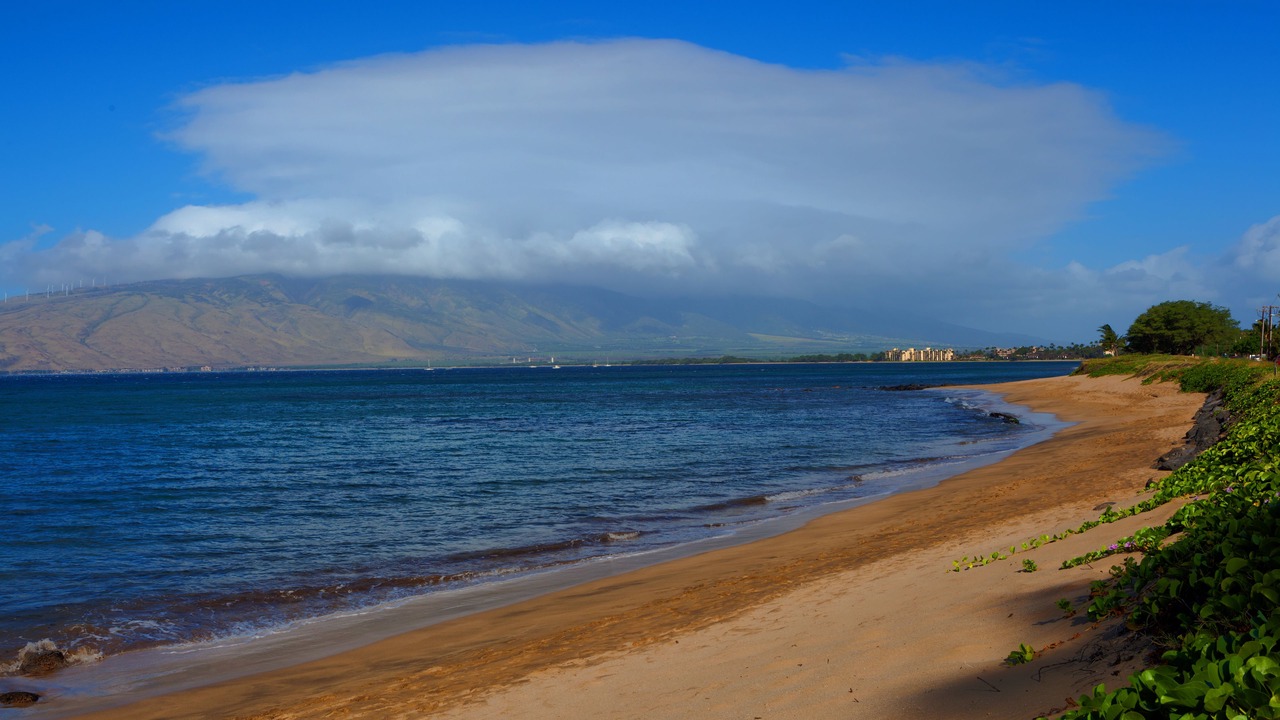 Photo of Others in Kihei