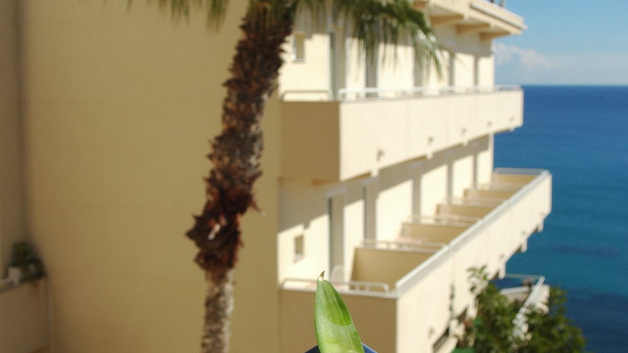 Photo of Others in Torrevieja