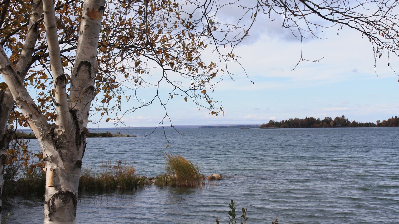 Photo of Outdoor in Thessalon