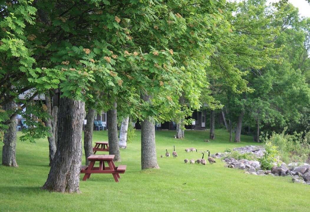 Photo of Others in Thessalon