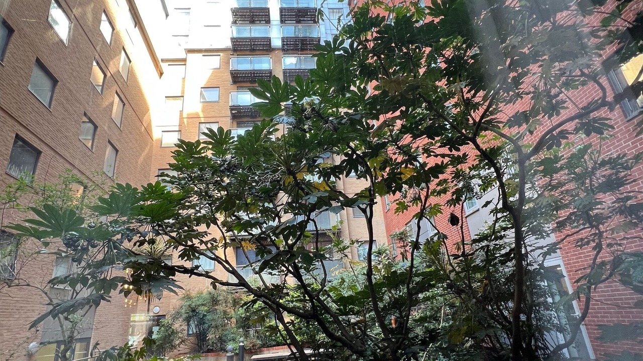 Photo of Outdoor in Reading City Centre