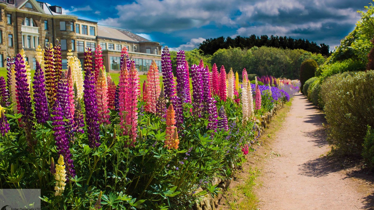 Photo of Outdoor in Ravenscar