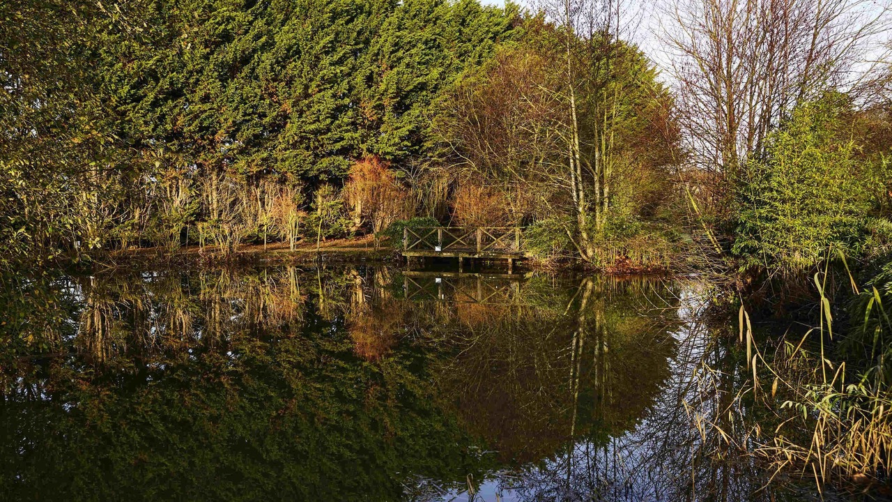 Photo of Outdoor in Woolhamton