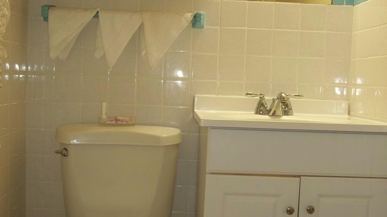 Photo of Bathroom in Hermitage