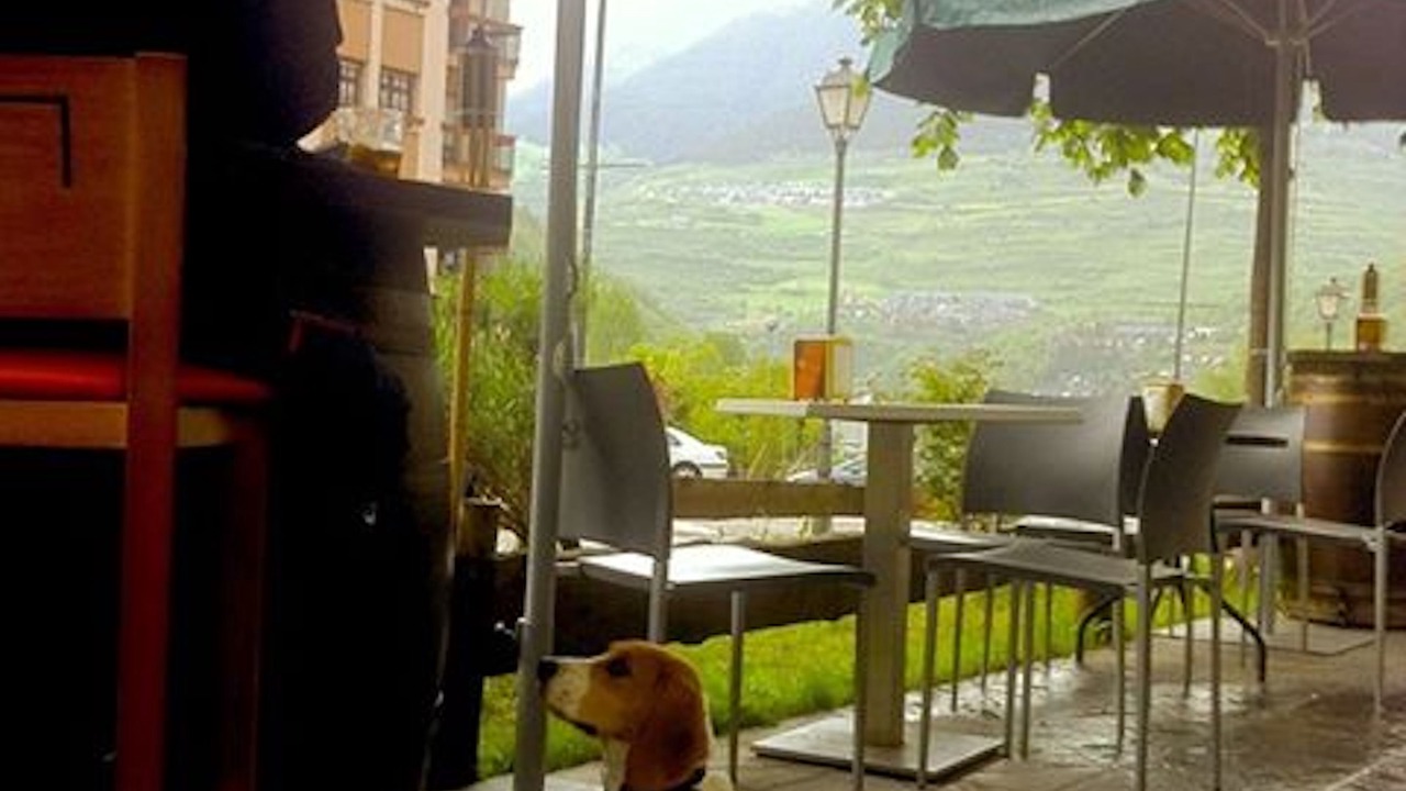 Photo of Outdoor in Vielha