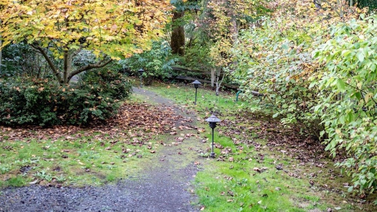 Photo of Outdoor in Bainbridge Island