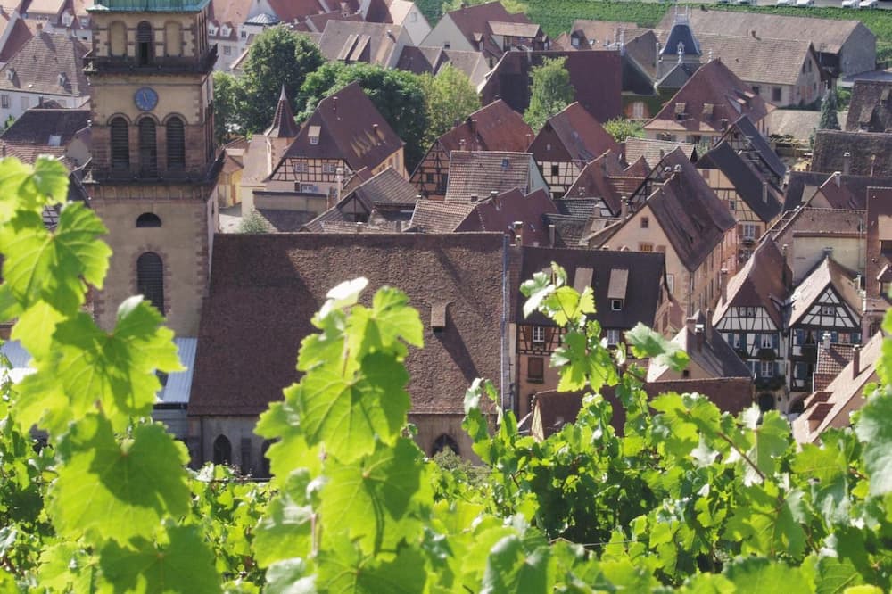 Photo of Outdoor in Kaysersberg