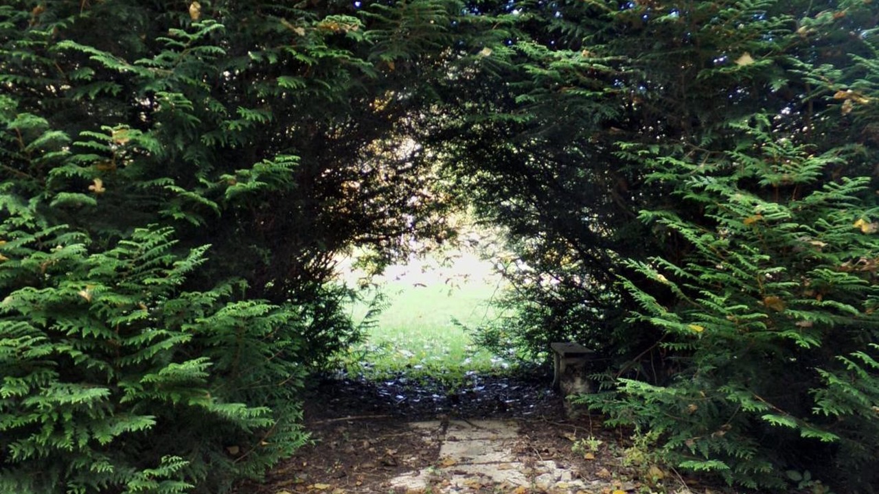 Photo of Outdoor in Murbach