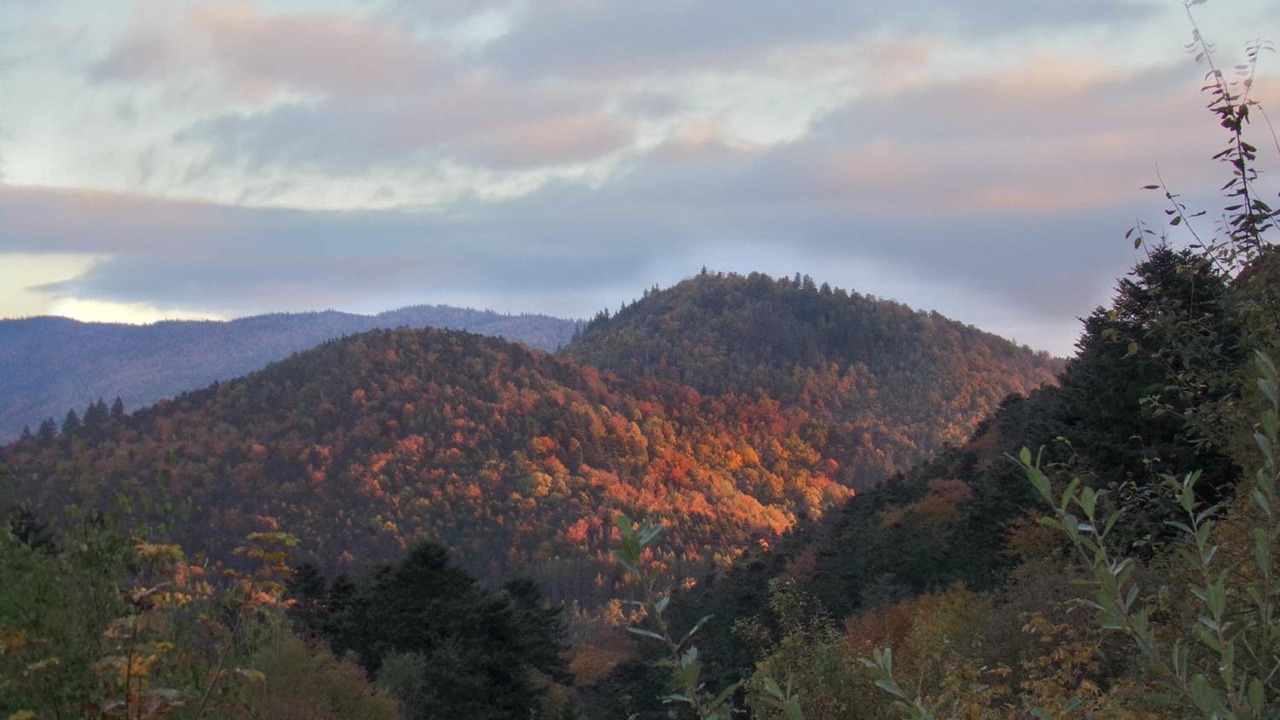 Photo of Outdoor in Murbach