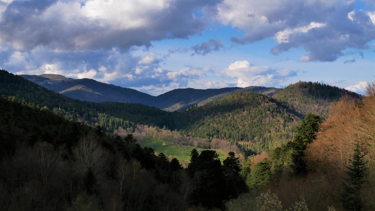 Photo of Outdoor in Murbach