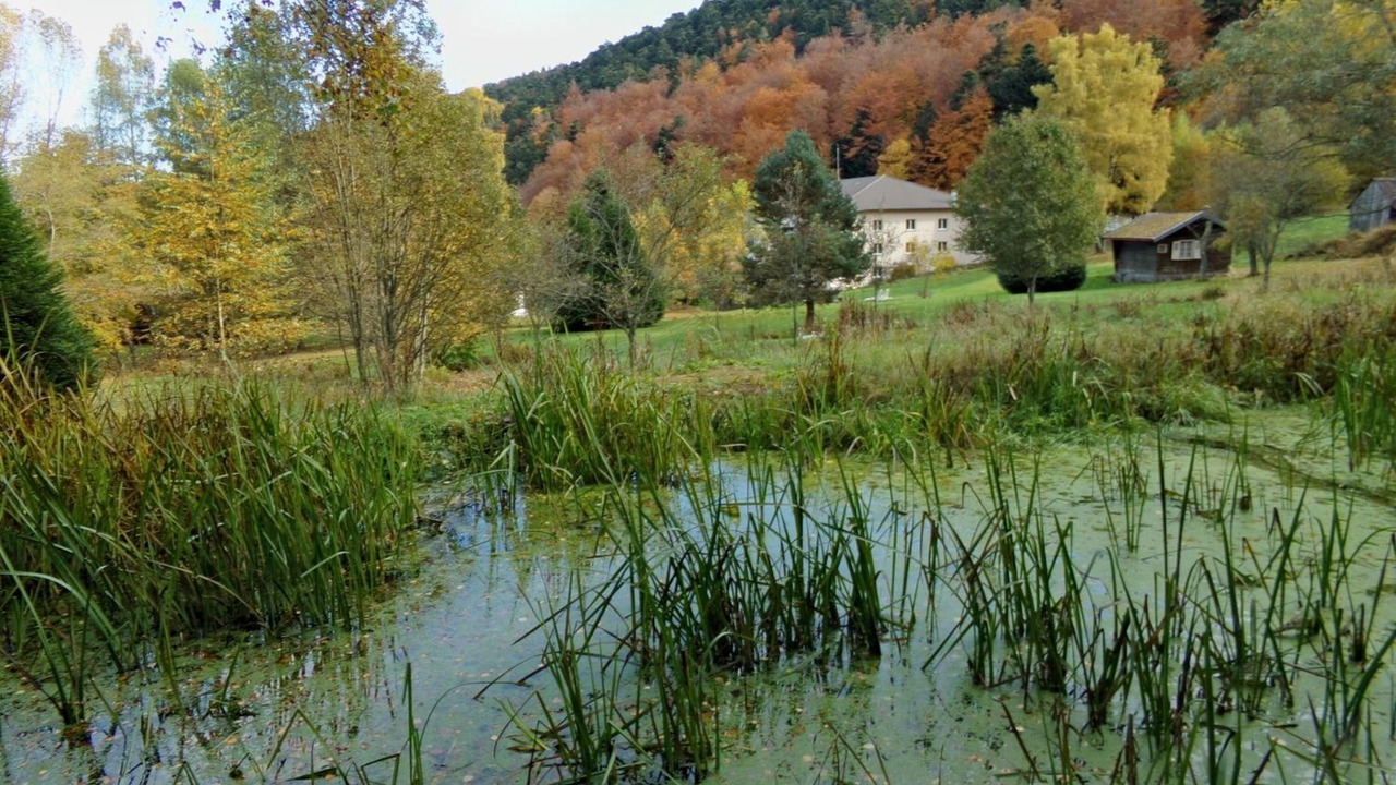 Photo of Outdoor in Murbach