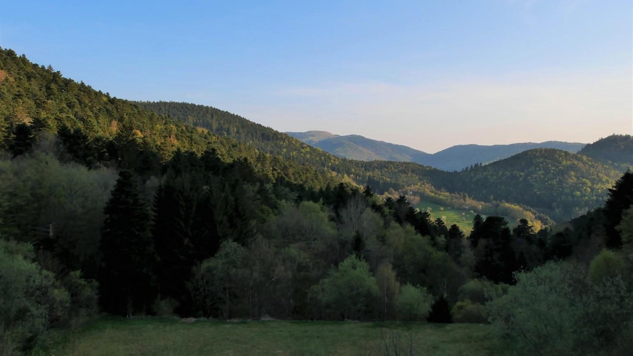 Photo of Outdoor in Murbach