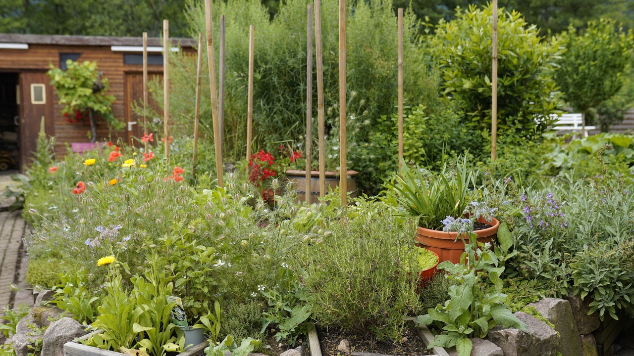 Photo of Outdoor in Wintzfelden