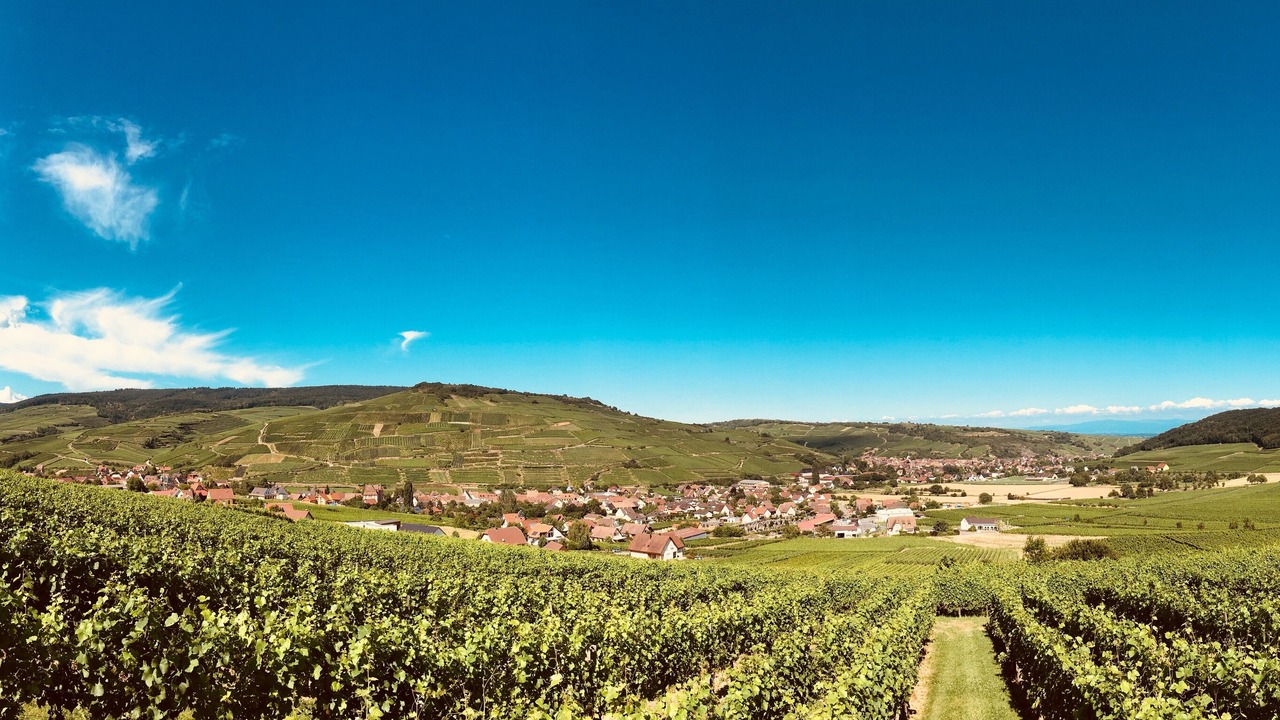 Photo of Others in Wintzfelden