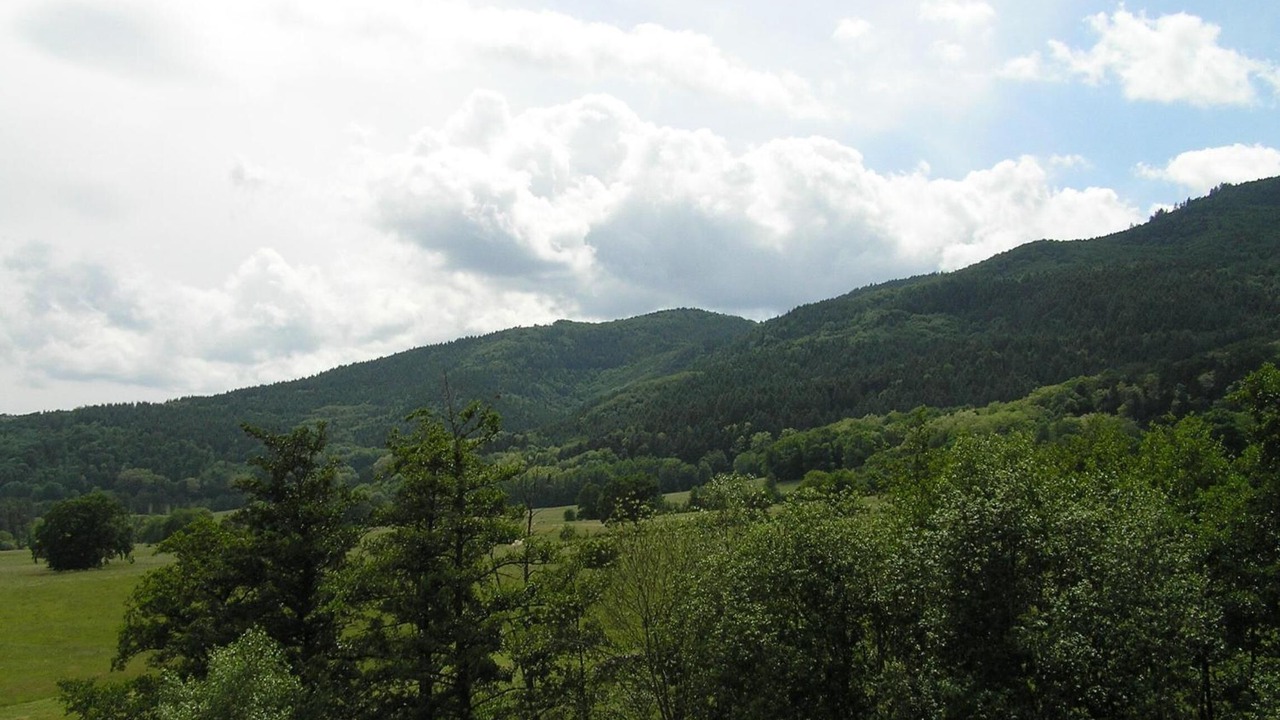 Photo of Outdoor in Wintzfelden