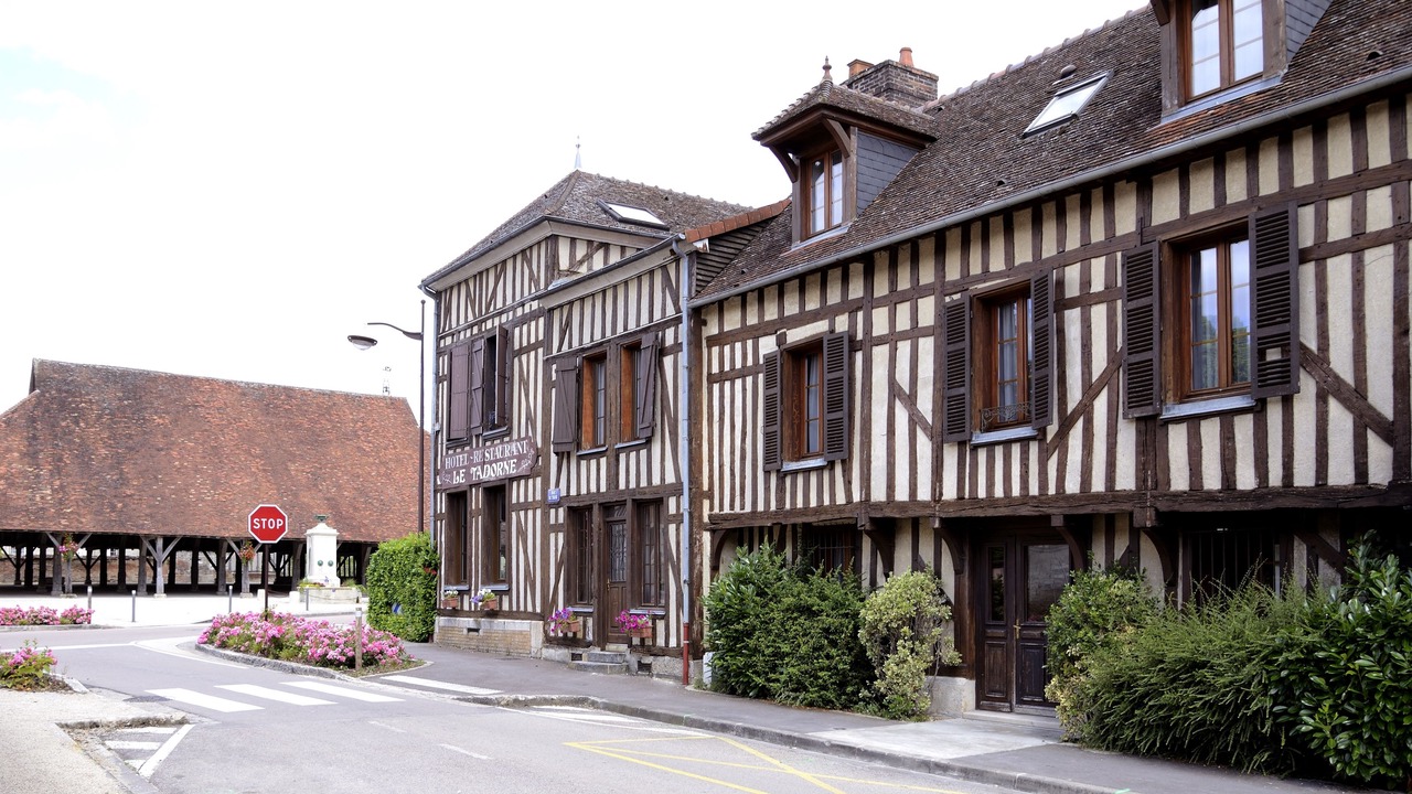 Photo of Outdoor in Piney