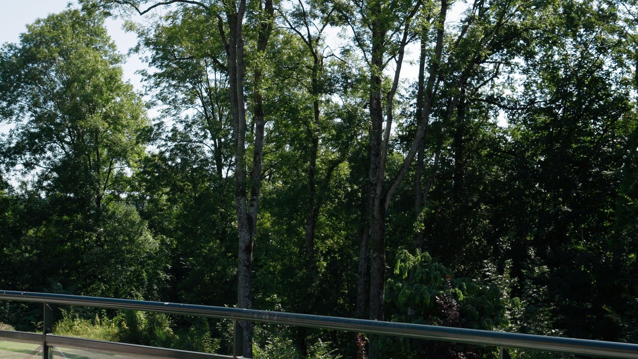 Photo of Patio Balcony in Vienne-le-Chateau