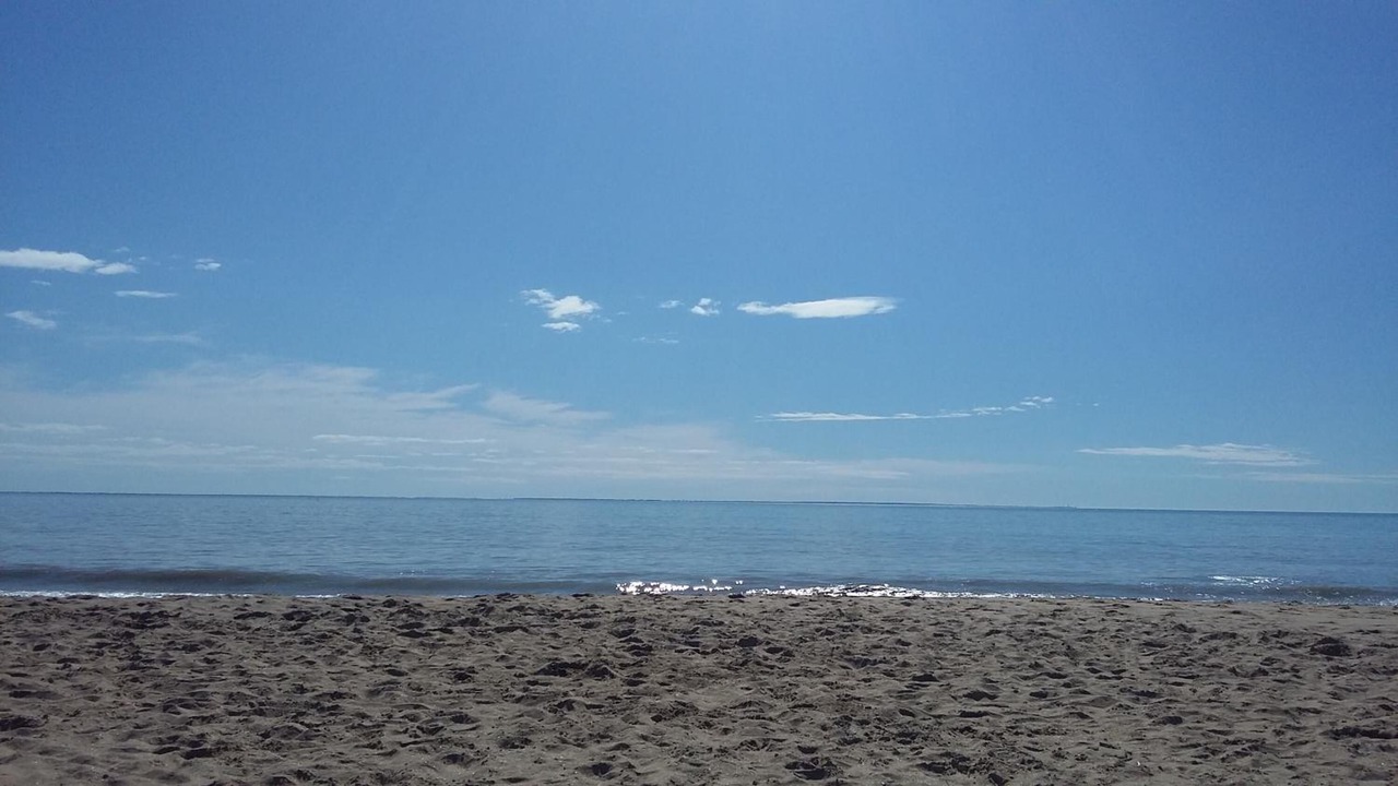 Photo of Others in La Tranche-sur-Mer