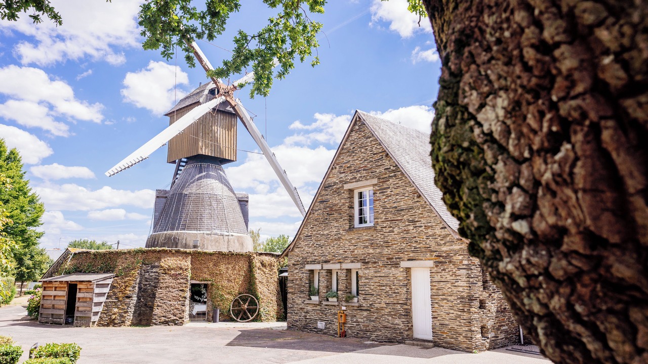 Photo of Outdoor in Avrille