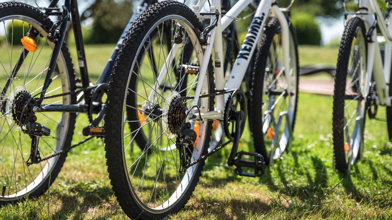 Photo of Outdoor in Heric