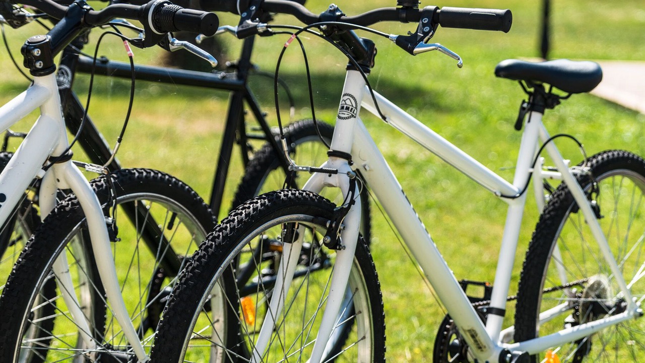 Photo of Outdoor in Heric