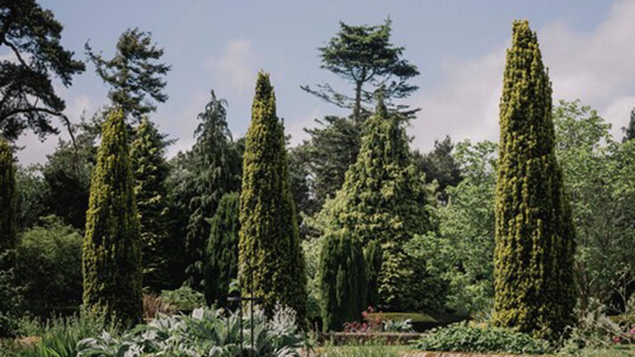 Photo of Bedroom in Wonersh