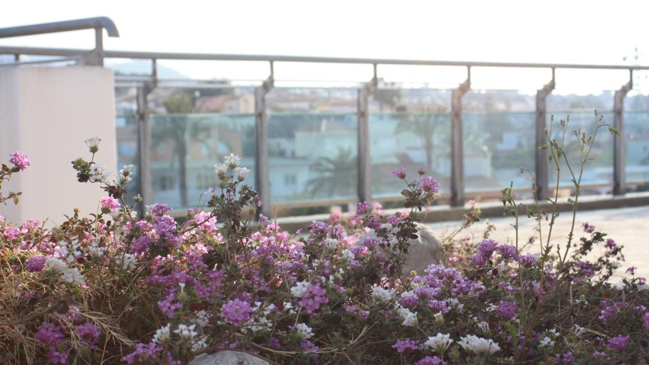 Photo of Patio Balcony in El Albir