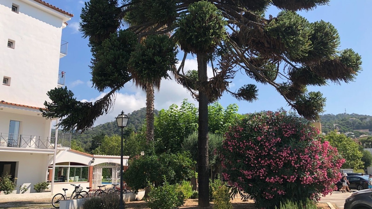 Photo of Outdoor in Tossa de Mar