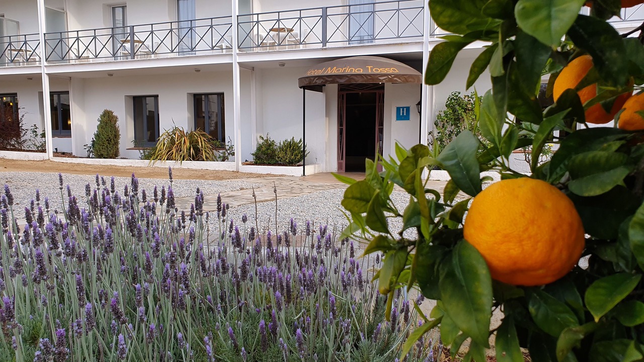 Photo of Outdoor in Tossa de Mar