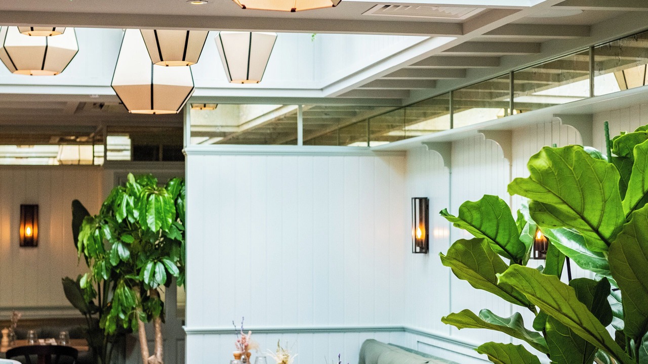 Photo of Others in Haslemere