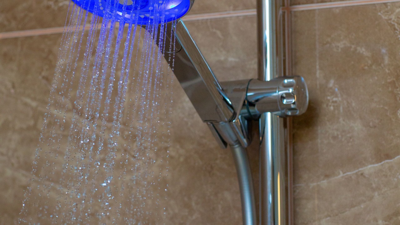 Photo of Others in Rambouillet