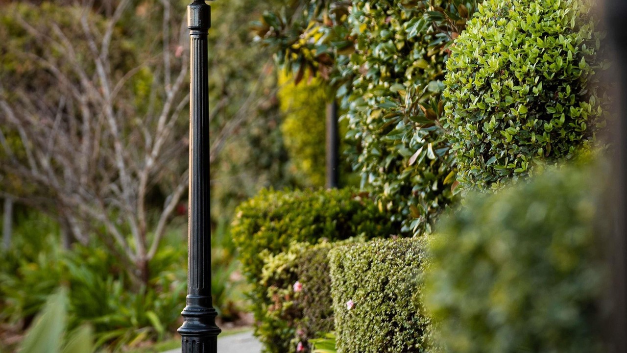 Photo of Outdoor in Castle Hill