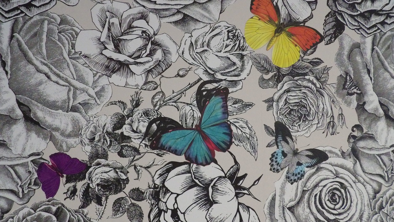 Photo of Bedroom in Centre-ville rive gauche