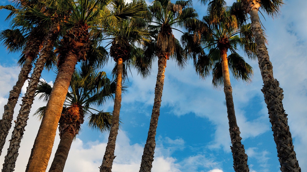 Photo of Outdoor in Santa Susanna