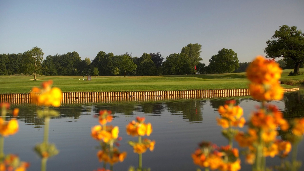 Photo of Others in Morley