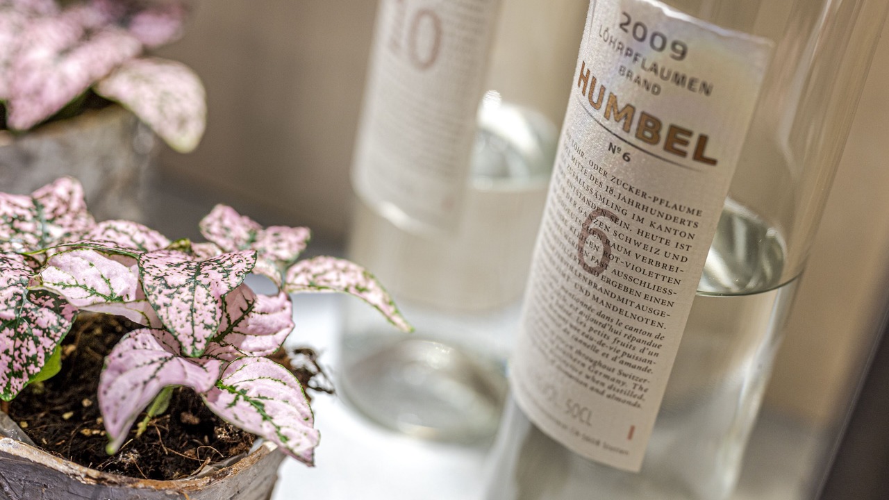 Photo of Others in Olten