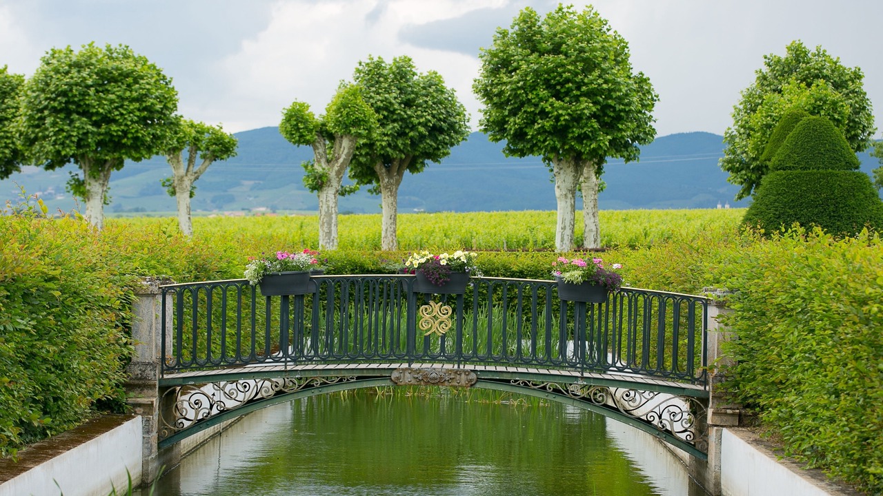 Photo of Others in Saint-Jean-d'Ardieres