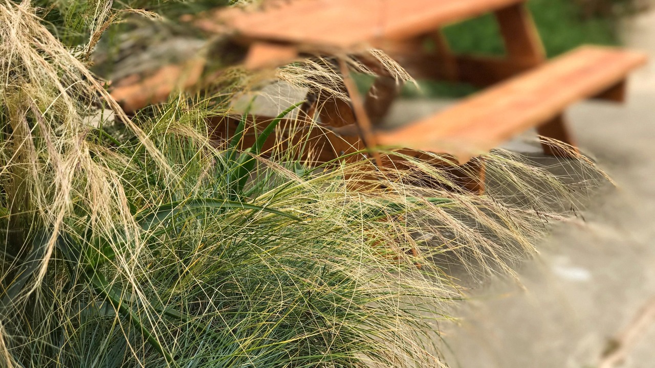 Photo of Outdoor in Bodega Bay
