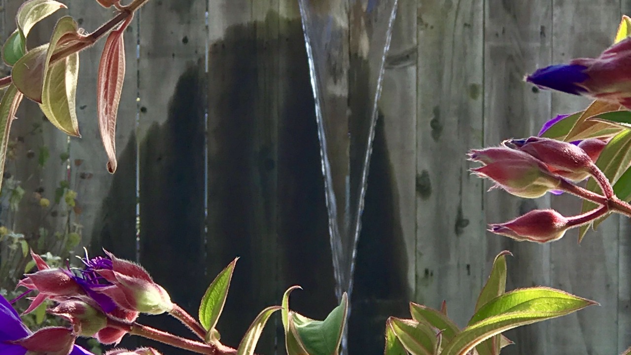 Photo of Outdoor in Bodega Bay