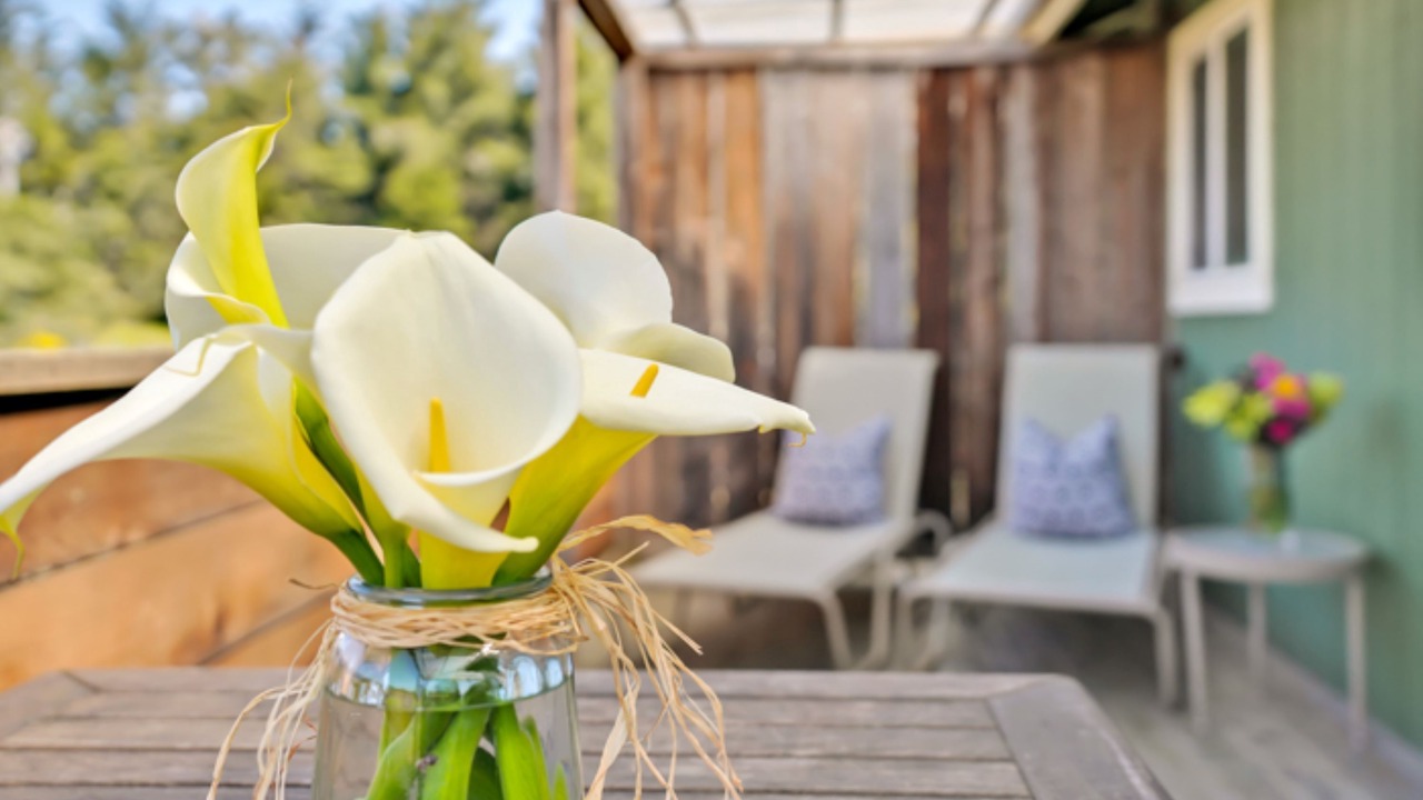 Photo of Outdoor in Bodega Bay