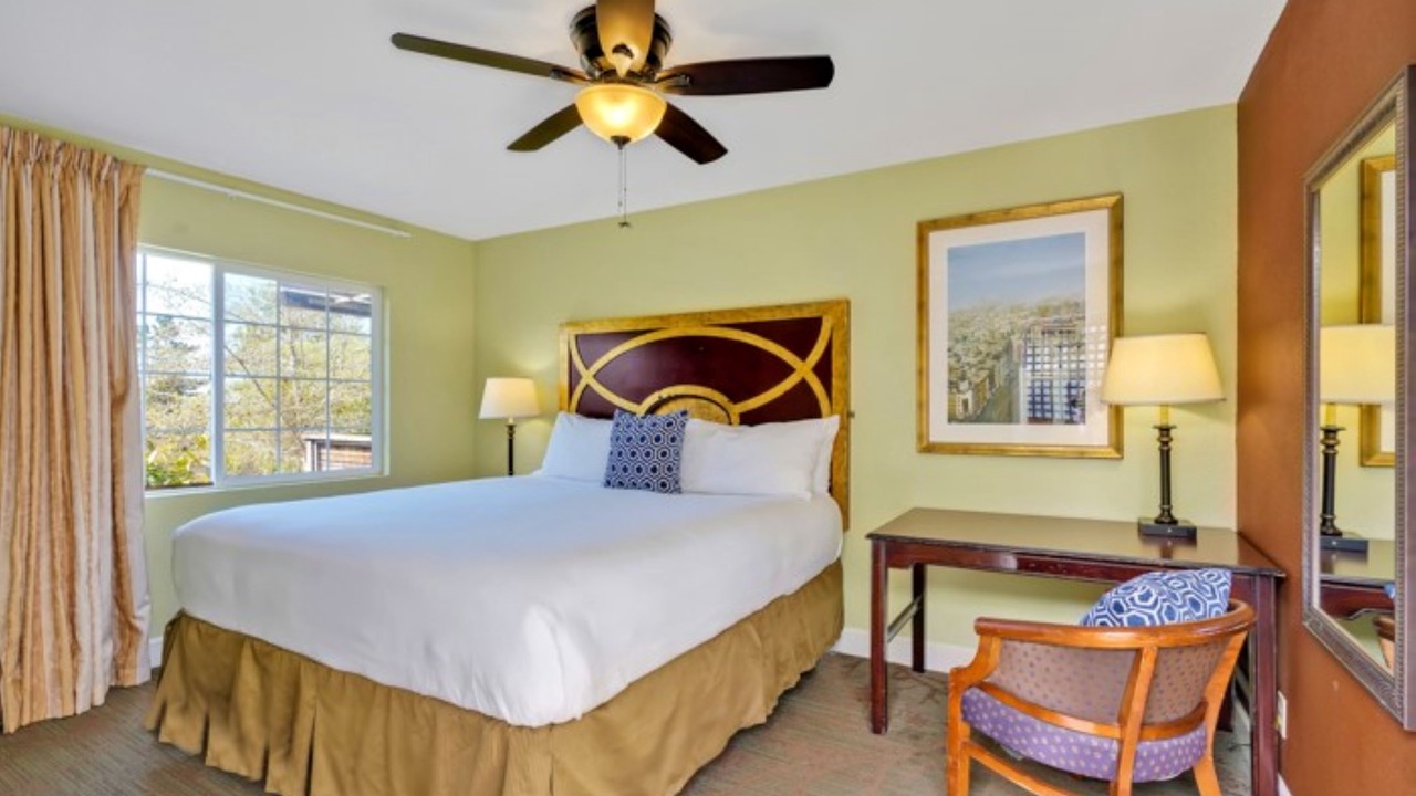 Photo of Others in Bodega Bay