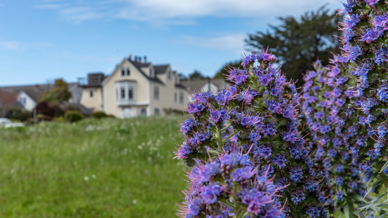 Photo of Outdoor in Mendocino