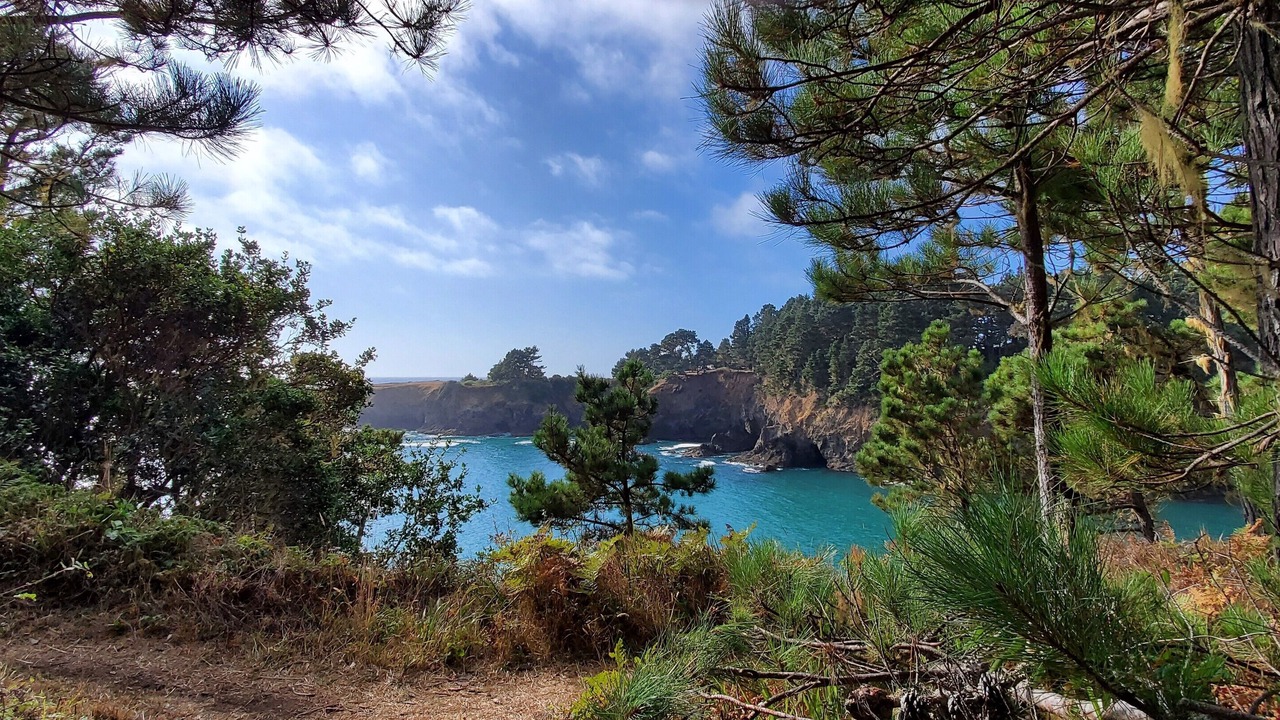 Photo of Others in Mendocino