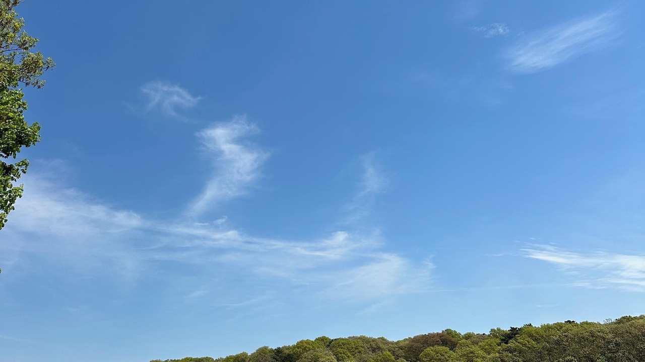 Photo of Patio Balcony in East Falmouth