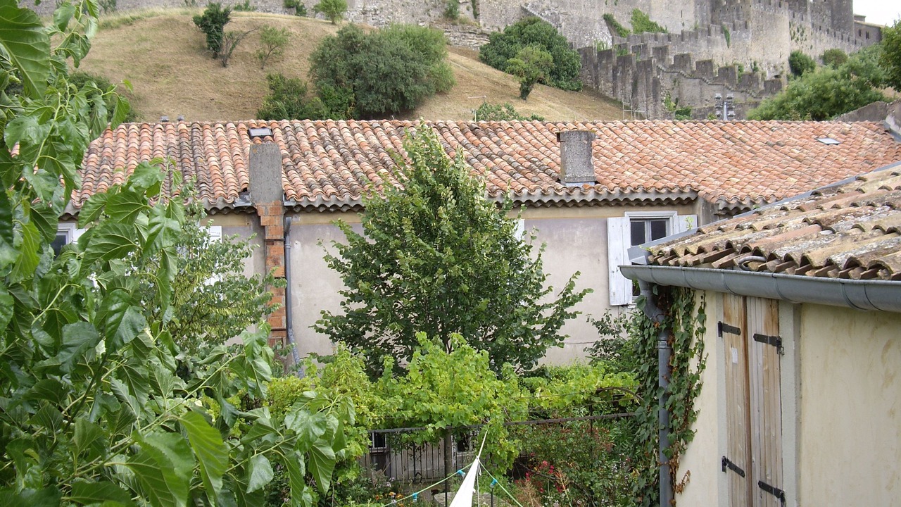 Photo of Others in Carcassonne